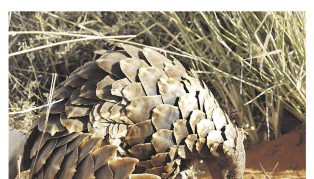 Beeld 30 July 2014