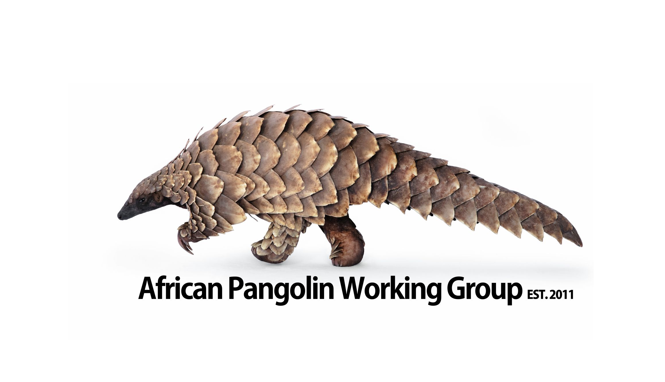 featured image logo